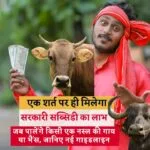 डॉ. भीमराव अंबेडकर कामधेनु योजना