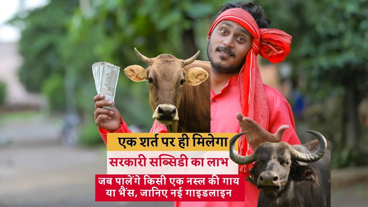 डॉ. भीमराव अंबेडकर कामधेनु योजना