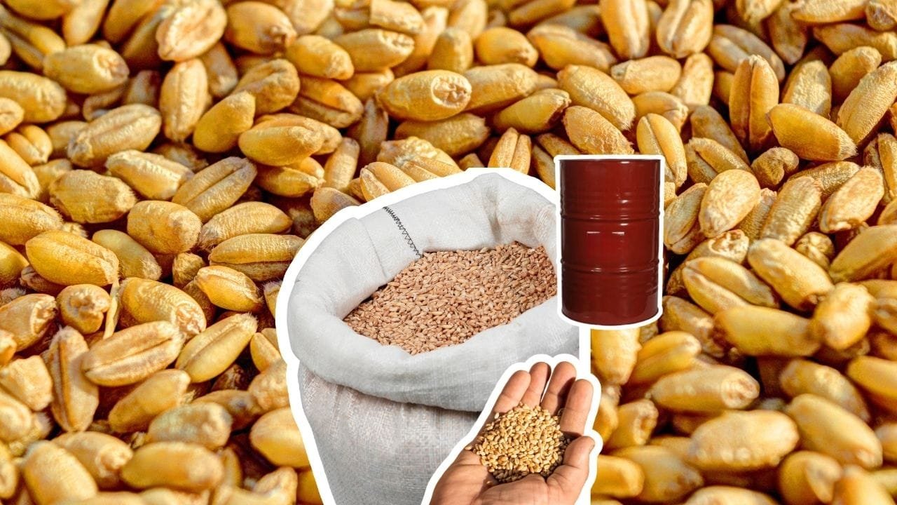 अनाज भंडारण का देसी जुगाड़