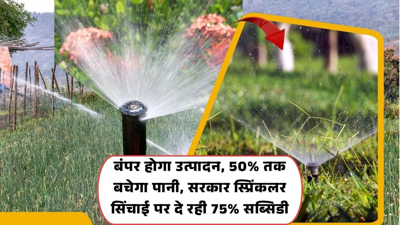 फव्वारा संयंत्र सब्सिडी योजना
