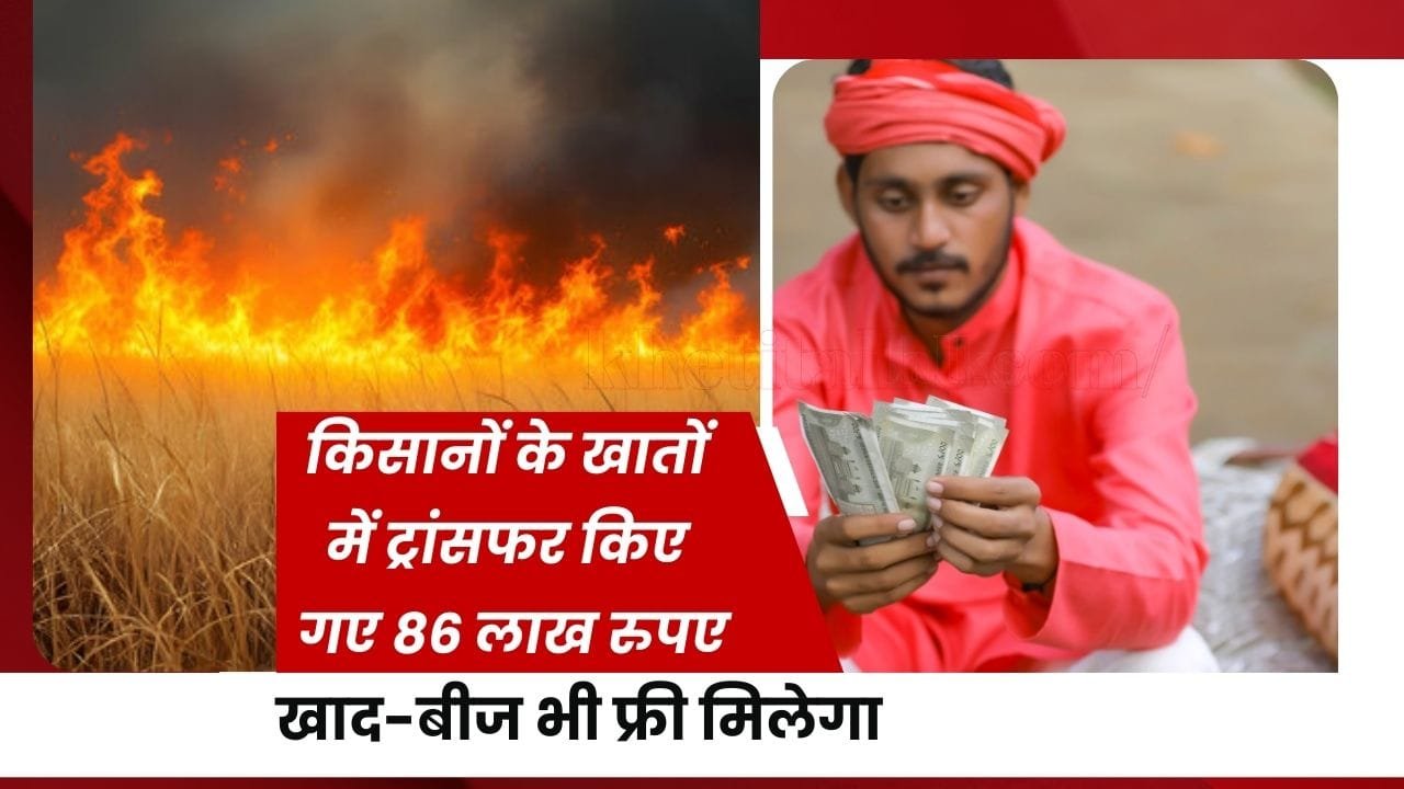 हरियाणा