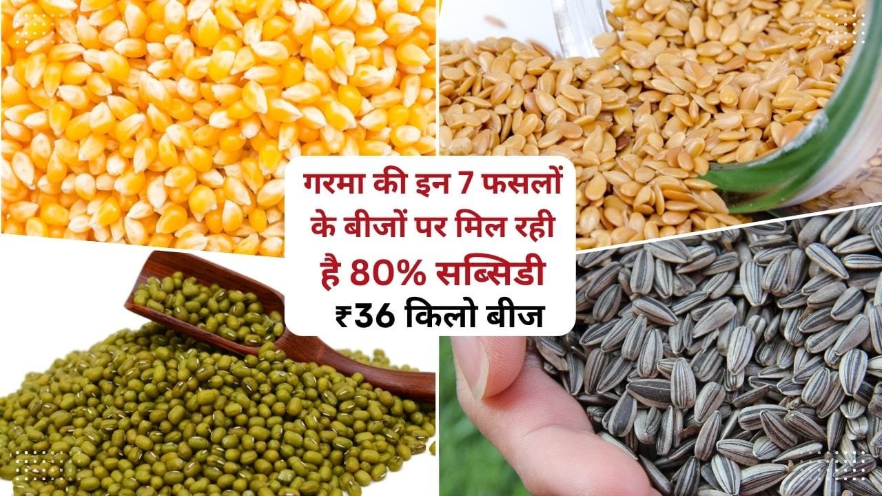 गरमा फसलों के बीज पर सब्सिडी