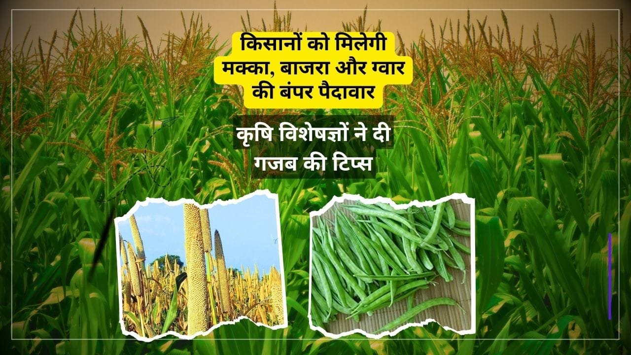 ग्रीष्मकालीन फसलों की खेती