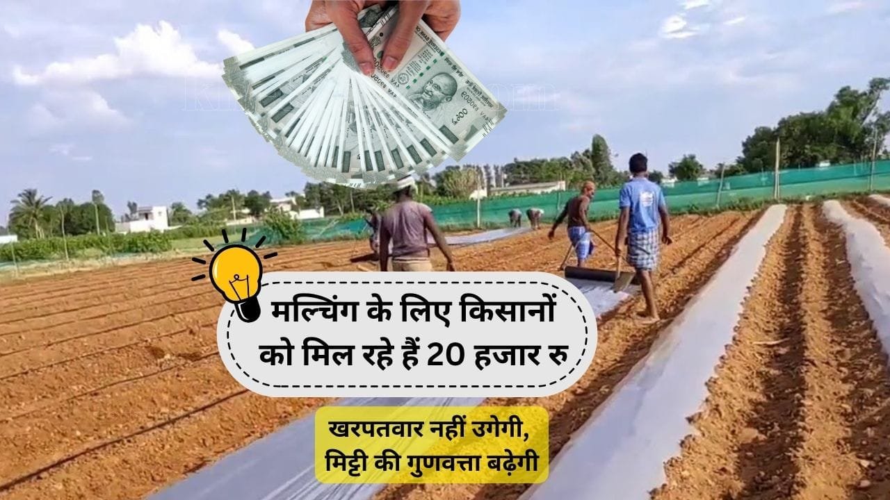 मल्चिंग पर सब्सिडी