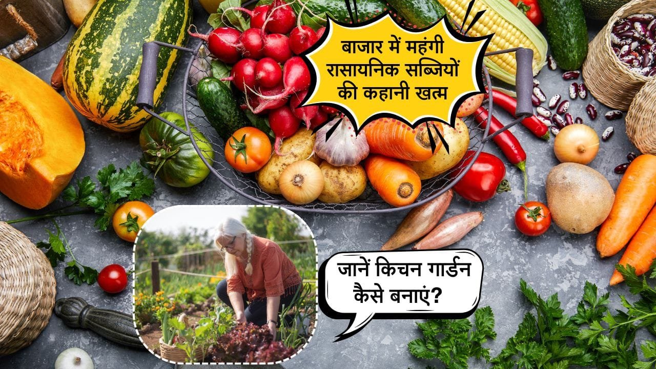 किचन गार्डन कैसे बनाएं? 