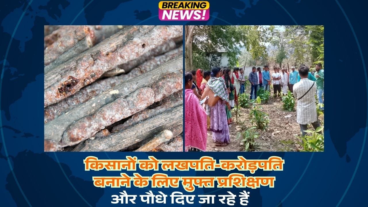 लाख की खेती के लिए प्रशिक्षण