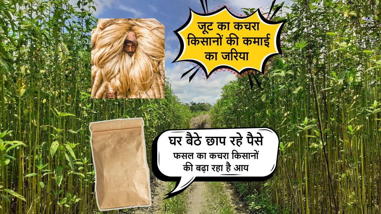 जूट के कचरे से पेपर बनाने की मशीन