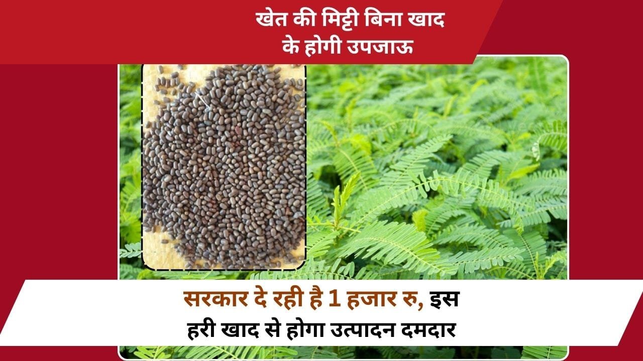 हरी खाद की खेती के लिए सब्सिडी