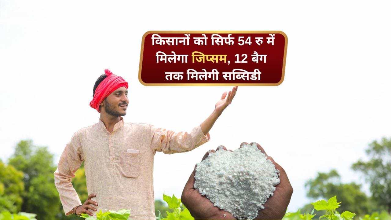 जिप्सम पर सब्सिडी