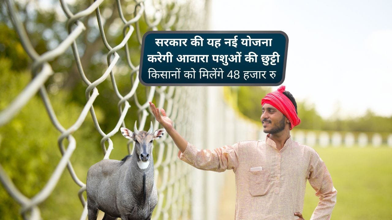 राजस्थान सरकार की तरफ से तारबंदी योजना शुरू की गई है