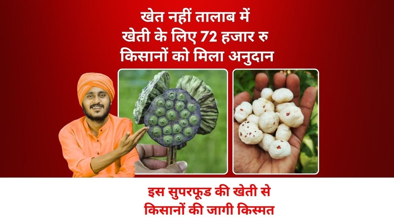 मखाना की खेती के लिए सब्सिडी