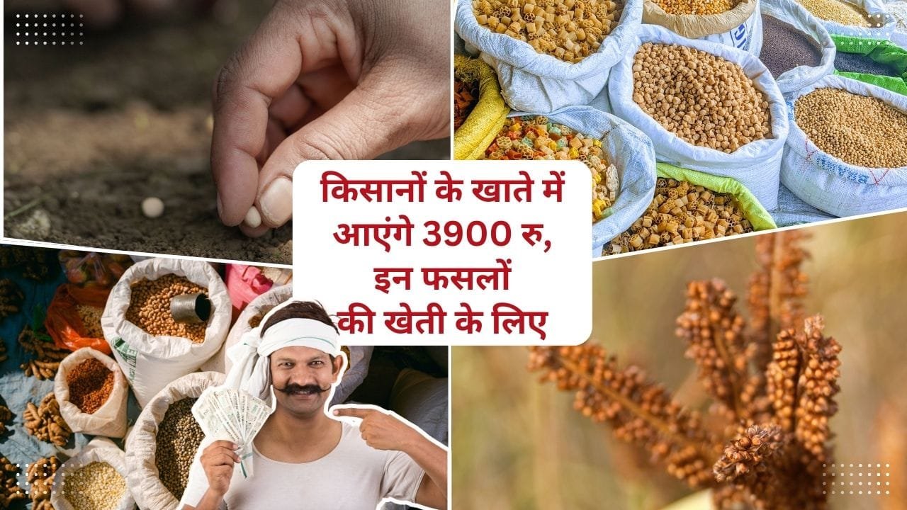 किसानों के खाते में आएंगे 3900 रुपये