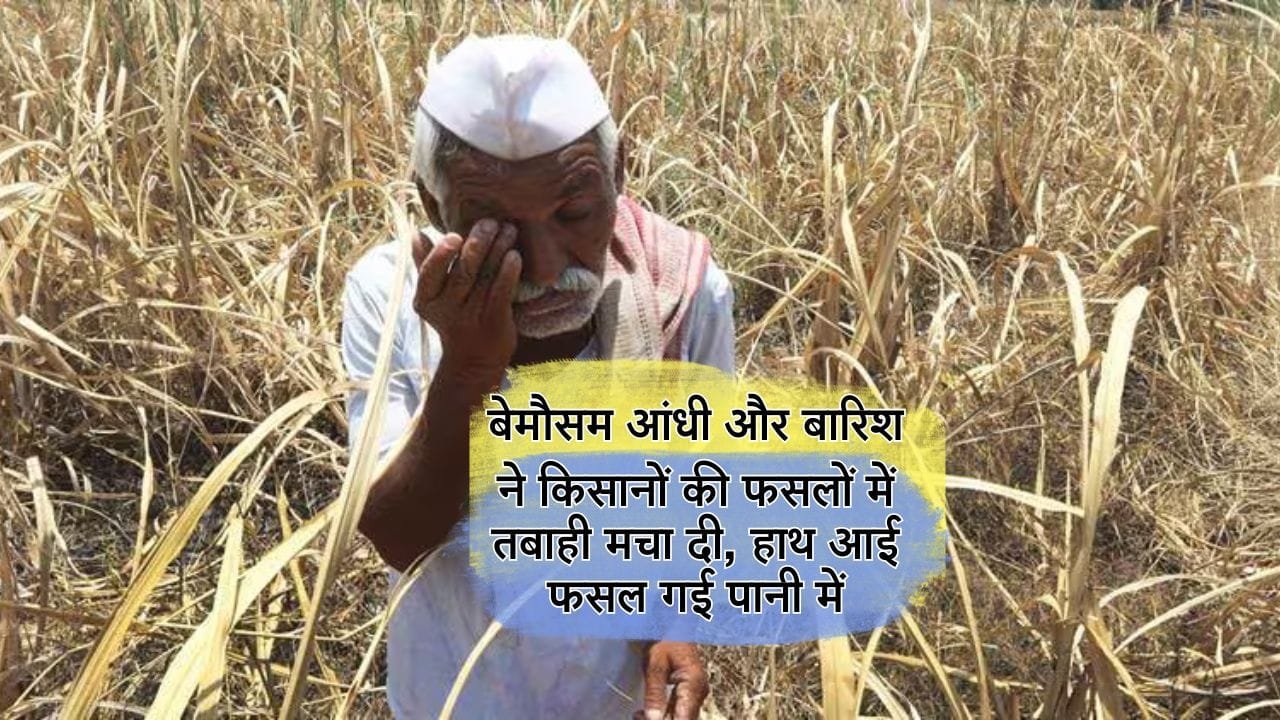 बेमौसम बारिश में बर्बाद हुई फसलों का मुआवजा