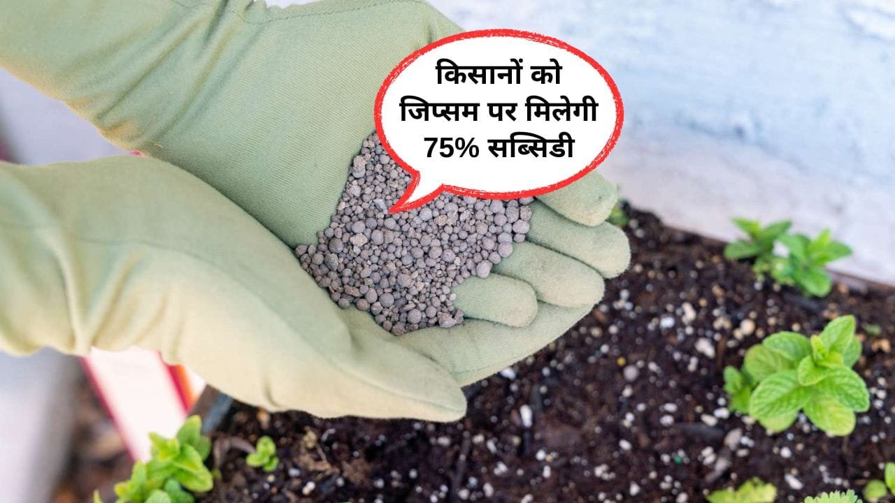 किसानों को जिप्सम पर मिलेगी सब्सिडी