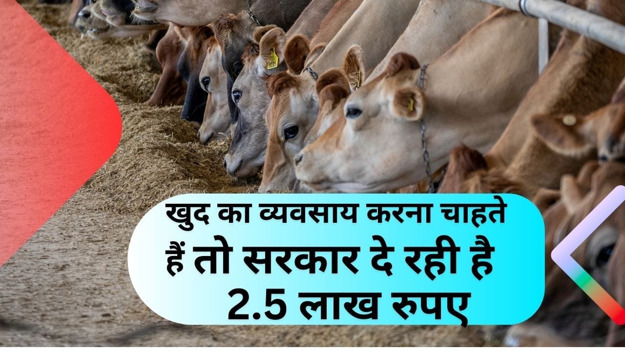 पशुपालन के लिए सब्सिडी
