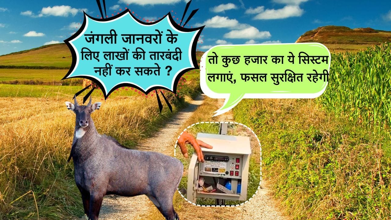 जंगली जानवरों को भगाने का सिस्टम