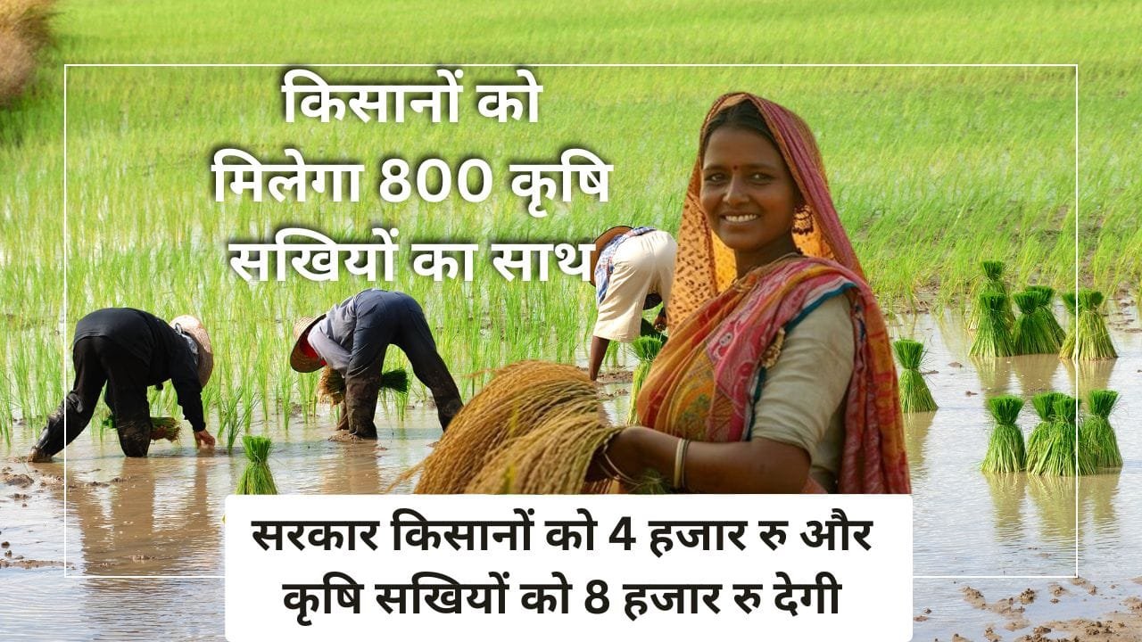 प्राकृतिक खेती