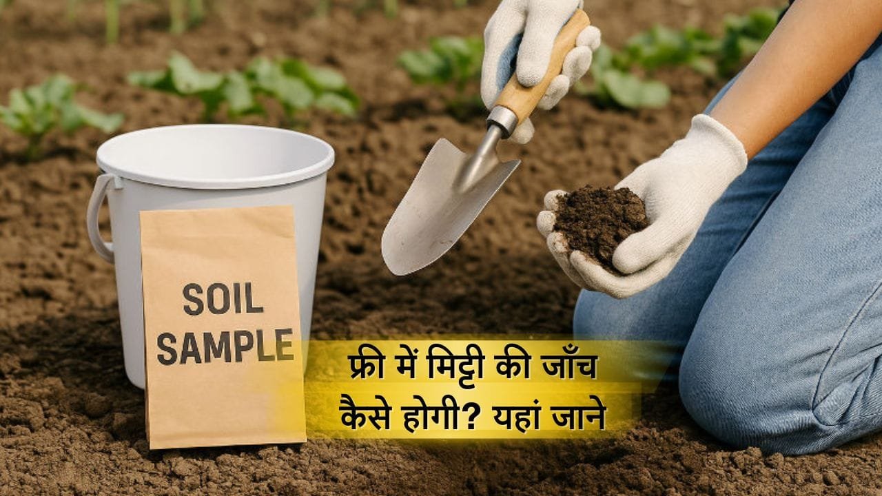 फ्री में मिट्टी की जाँच कैसे होगी?
