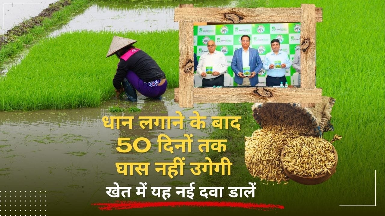 खरपतवार नाशक अलटेयर