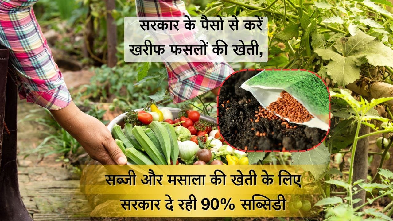 सब्जी और मसाला खेती के लिए सब्सिडी