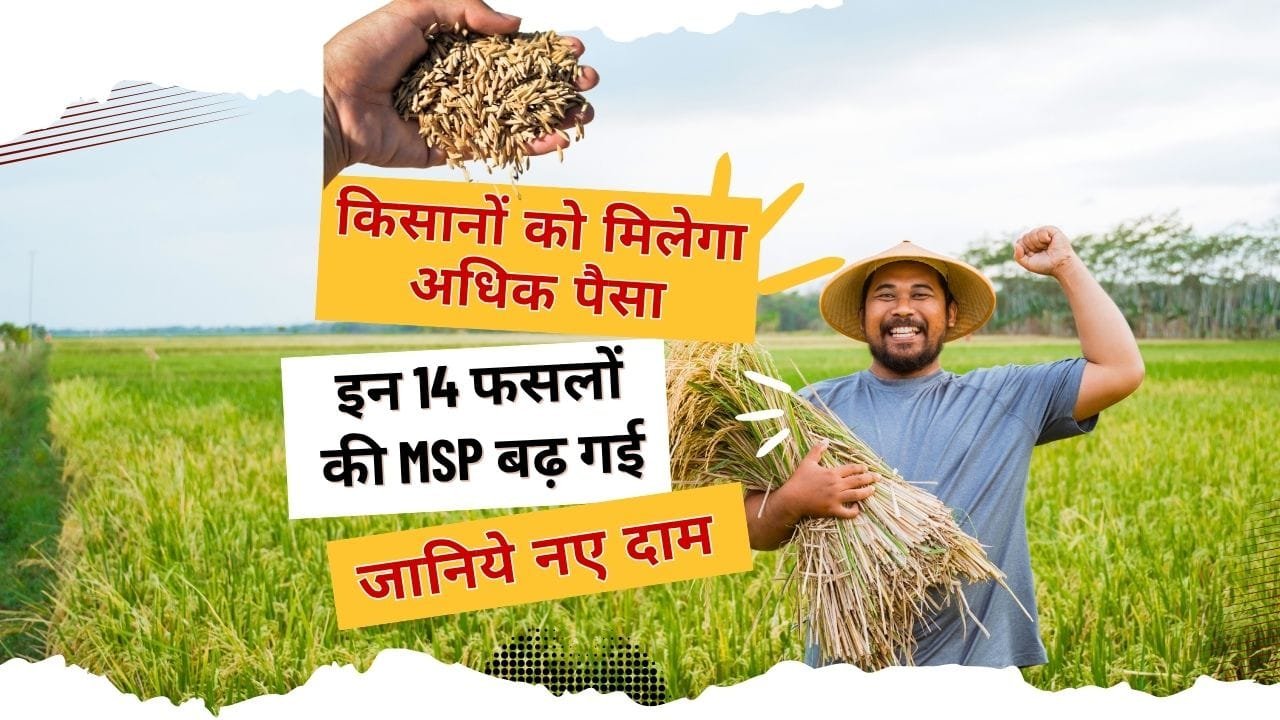 अब खरीफ फसलों की MSP कितनी है?