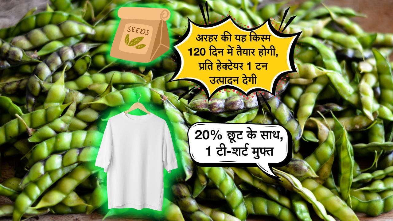 अरहर की किस्म