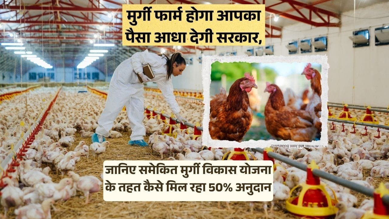 समेकित मुर्गी विकास योजना बिहार राज्य सरकार की योजना है