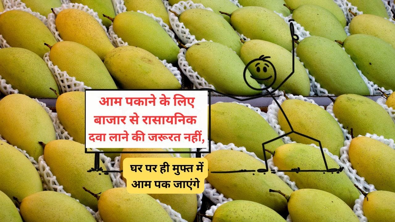 आम पकाने का जुगाड़