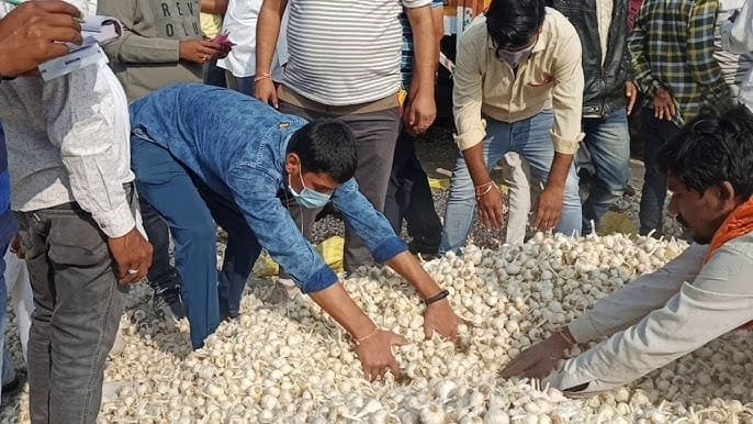 मध्य प्रदेश में लहसुन का भाव