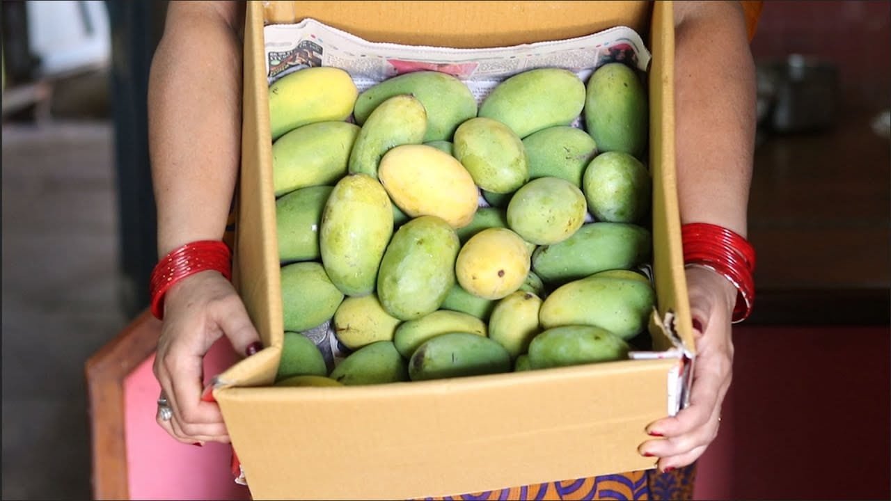 आम पकाने का देसी जुगाड़