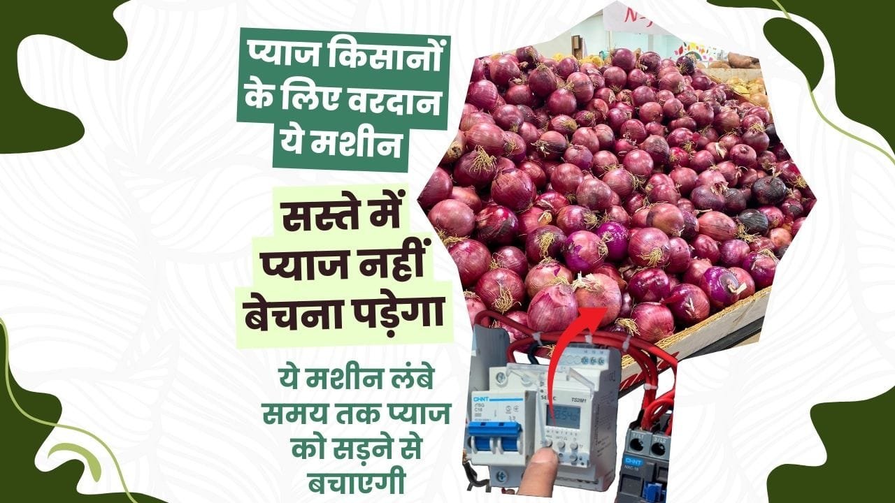 प्याज को स्टोर करने का जुगाड़