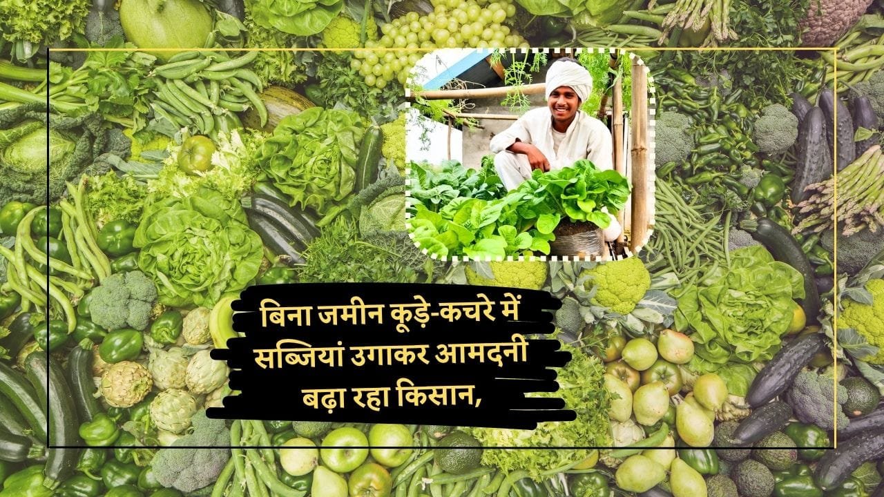 कम्पोस्ट बैग