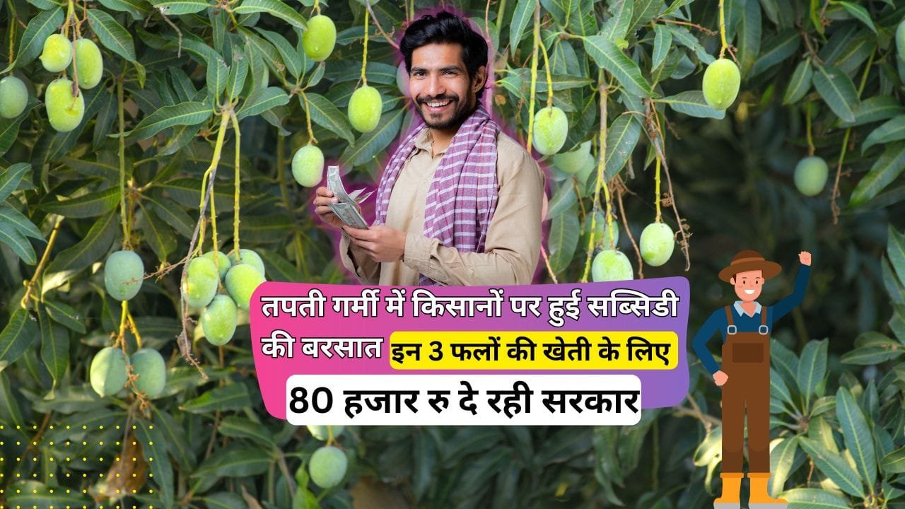 फलों की खेती के लिए सब्सिडी