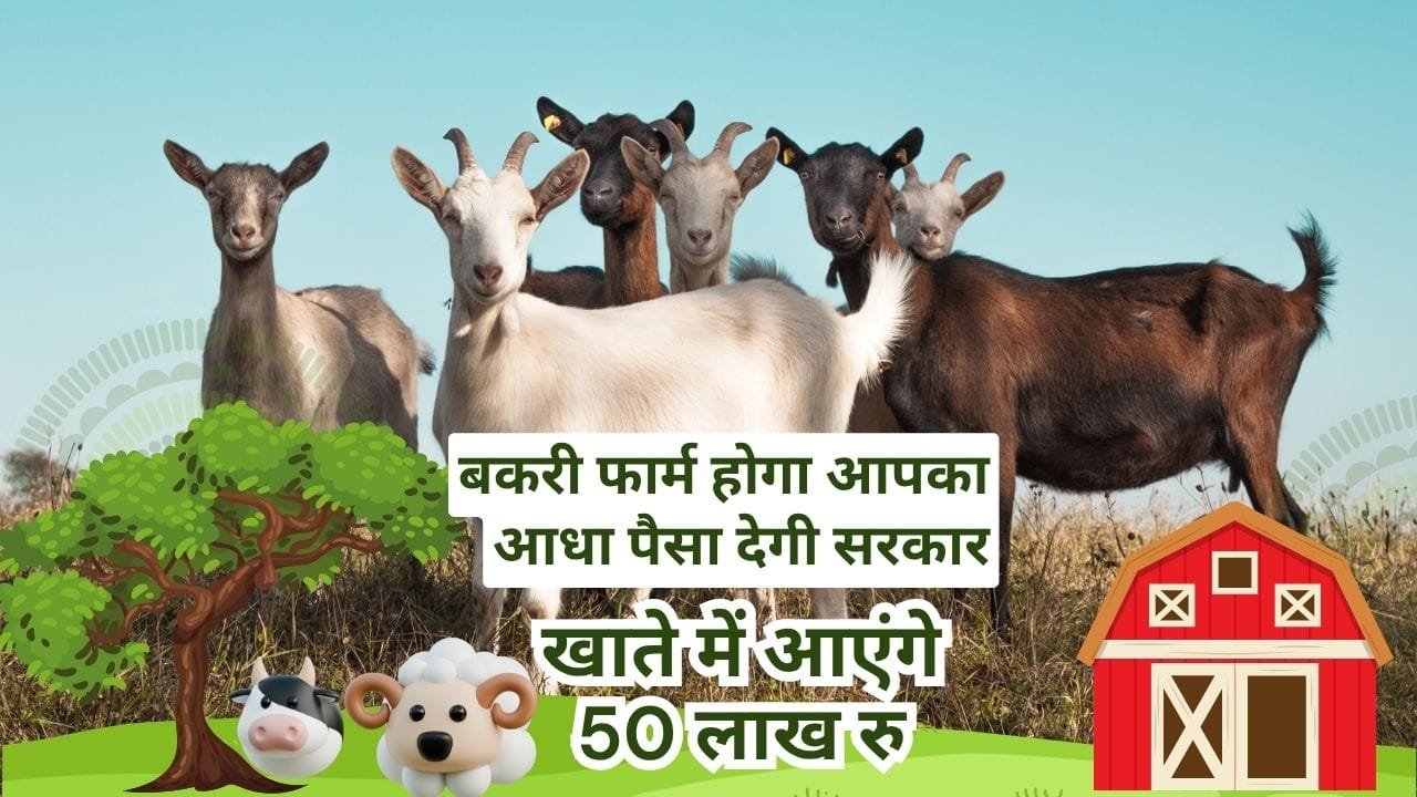 बकरी पालन के लिए सब्सिडी