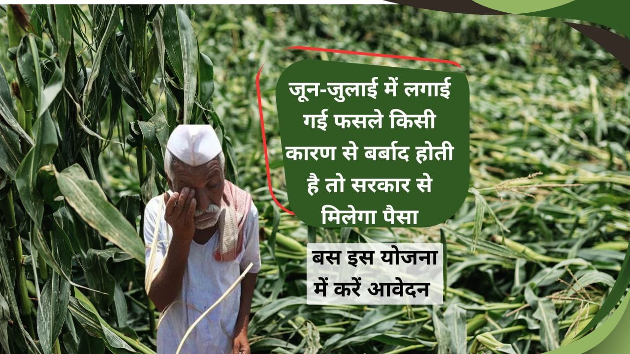 कौन सी फसलों का बीमा कराया जा सकता है?