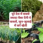 जून-जुलाई में सब्जी की खेती