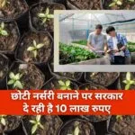 नर्सरी के लिए 50% सब्सिडी