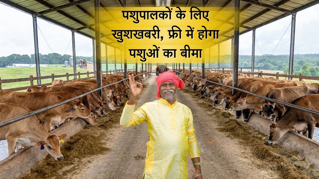 राजस्थान राज्य सरकार की एक योजना