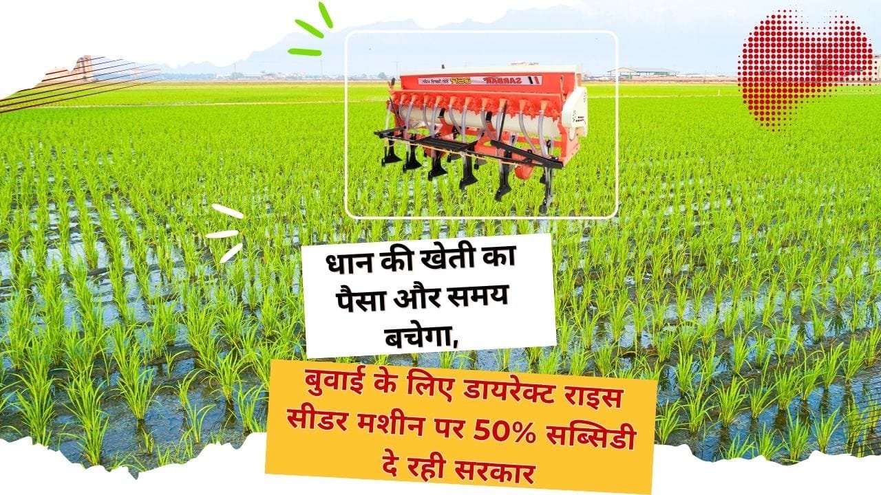 डायरेक्ट राइस सीडर मशीन