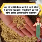 धान की नर्सरी तैयार करने से पहले क्या करें