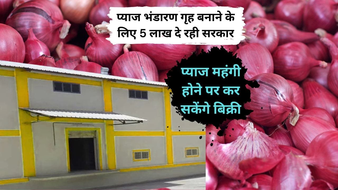 प्याज भंडारण गृह पर सब्सिडी