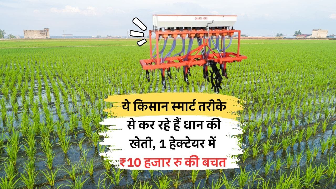 धान की सीधी बुवाई