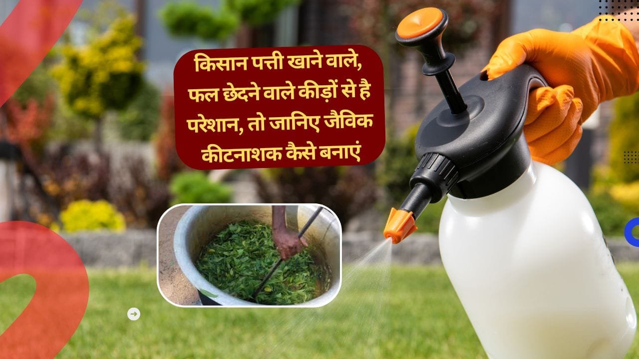 जैविक कीटनाशक बनाने के लिए जरूरी चीजें