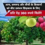 कीट प्रबंधन योजना