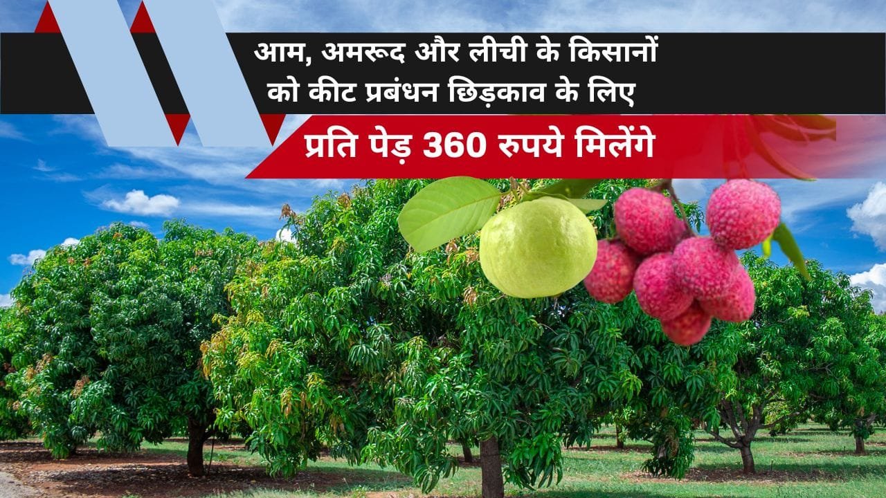 कीट प्रबंधन योजना