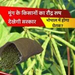 मूंग की खेती