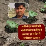 गर्मी-बरसात के मौसम के लिए सबसे अच्छी सब्जी