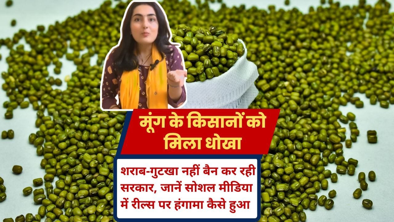 मूंग की खरीदी MSP पर