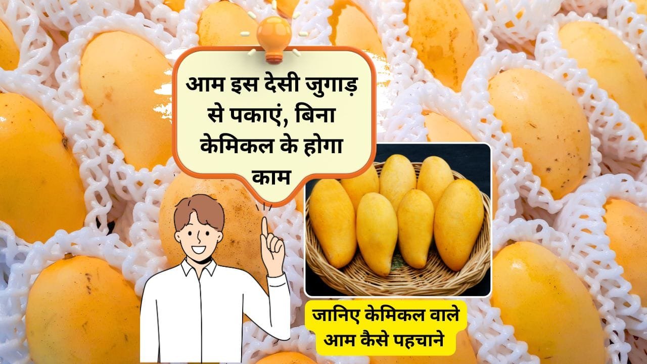 घर पर आम कैसे पकाएं