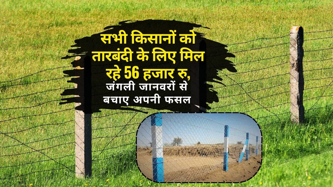 कटीले तारबंदी योजना का फायदा कैसे मिलेगा